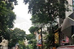 Bán gấp nhà phố vọng, ô tô tránh, kinh doanh dt 80m2, 4 tầng, mt 5m, 15.5tỷ