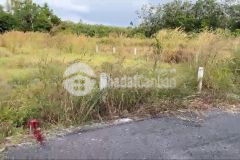 Bán đất hồ chí minh, xã long tân, dầu tiếng, bình dương, 1,65 tỷ, 1128 m2 giá siêu hời