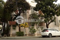 Ban biệt thự đơn lập phố nguyễn văn lộc làng việt kiều châu âu quận hà đông hà nội