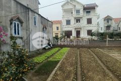 Bán đất vĩnh lộc, thư phú, thường tín vị trí đắc địa dân trí cực cao 1.95 tỷ