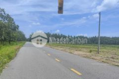 Đất ngộp cuối năm diện tích lớn 1000m2 giá chỉ 900tr, mặt tiền đường giá siêu ngộp