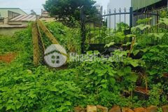 Bán đất full thổ cư hẻm trần hưng đạo, lộc sơn, bảo lộc, lâm đồng 1ty3