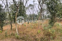 Bán đất thương mại dịch vụ rộng 3ha tại thành phố vĩnh yên, vĩnh phúc