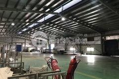 Cho thuê xưởng 2.000m2 khu công nghiệp yên phong bắc ninh