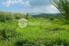 Bán đất nền kpl tôn thất thuyết, đambri, bảo lộc, lâm đồng