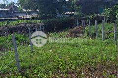 Lô đất 273m2 có hơn 200m2 đất ở an phú tam kỳ