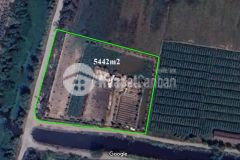 Bán lô đất vườn 5442m2 giá chie 2 tr 900m2 xuân thới thượng hóc môn