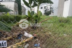 Bán lô đất an phú đông 03, p. apđ, quận 12 6,63 x 8,6m, giá 3,6 tỷ.