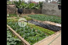 Bán đất tự nhiên, thường tín ô tô vào đất sầm uất đầu tư chuẩn nhất 45m 1.55 tỷ