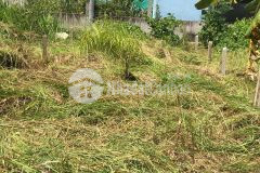 Bán đất cần giuộc long an. dt 98 m2 thổ cư 100, shr chỉ 1.1 tỷ tl. lh 0965277317
