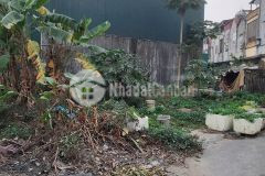 Bán ô góc khu công ty nhà máy gạch viglacera hợp thịnh, phường hội hợp, vĩnh yên