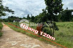 Bán đất khánh đông giá rẻ mặt tiền đường liên thôn