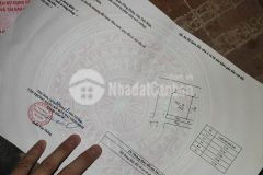 Bán 255m2 đất phong châu, đông hưng, lô góc đường ô tô tránh