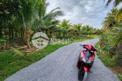 Bán đất vườn mỹ tho 1450m có 100m thổ cư mt đường bt 4m giá 1.5trm phước thạnh