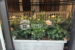 Bán nhà 280 kim giang, an sinh cực đỉnh, 50m2, giá 6.x tỷ số nhỏ