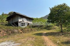 Bán đất đẹp trung tâm du lịch mộc châu 3ha, sẵn nhà sàn, giá tốt chỉ 12.x tỷ