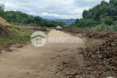 Bán đất vườn diên tân mặt đường bờ hồ sát bên hồ cây sung