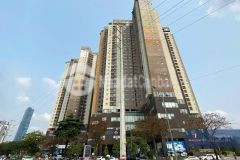 Giá quá tốt phân khúc 8 10 tỷ ở thì rẻ đầu tư ăn ngay nửa tỷ căn 3 ngủ dự án the nine, cầu giấ