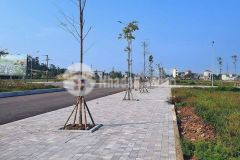 Cơ hội còn rất ít để dinh ngay 1 em hoa hậu tại vị trí vàng của rừng thông thanh hóa