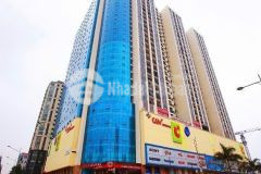 Chính chủ bán căn hộ 3 phòng ngủ diện tích 110m² tại trần phú văn quán