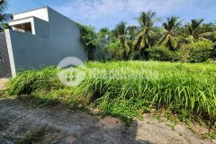 Bán đất mỹ tho 4x20m trần văn hiển ấp 3 ngay chợ trung an 790tr