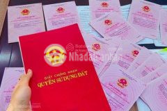 Cần bán gấp 3 lô đất ngay trục chính cổng flamingo giữa hai bãi tắm giá f0