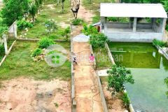 Bán đất vườn khánh đông giá rẻ sẵn thổ cư đã lên mô hình farm cơ bản