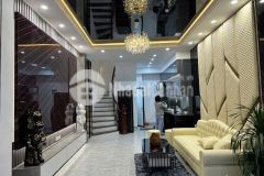 Bán nhà trường chinh nguyễn lân, dt 40mx5 tầng, giá hơn 10tỷ, oto,phân lô, kinh doanh