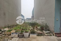 Khu đấu giá mậu lương 60m, mặt tiền đẹp 5m giá đầu tư vị trí cực đẹp phân lô vỉa hè