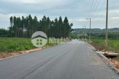 Đất bds ngợp đường nhựa phạm thế hiển nối dài xã tân bình thị xã lagi cách trung tâm 800m