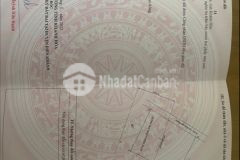 765m2 đất tcln xã diên lâm 1 tỷ 530 triệu 2 triệum2