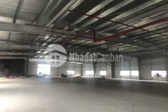 Mời thuê 2.700m2 nhà xưởng, pccc tự động, tại khu công nghiệp quế võ bắc ninh