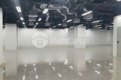 Chính chủ cho thuê 5.000m2 10 sàn tm văn phòng mipec 229 tây sơn, đống đa, hn