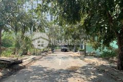 Lô đất dự án xuất nhập khẩu bưng ông thoàn dt 156m giá tốt