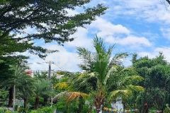 Thạnh lộc quận 12 đất bán chính chủ 1 đời gần 12000m2 chỉ nhỉnh 9 tr m2 đường xe tải