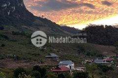 Bán đất nghỉ dưỡng 5000m2 view đồi chè xanh mát, tiềm năng homestay