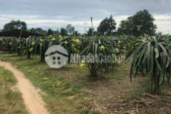 Đất ngợp giáp dinh thầy thím gần biển và bến xe xã tân hải thị xã lagi