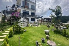 Bán căn homstay xinh đẹp có sân vườn đẹp 520m2 chỉ 14,9 tỷ