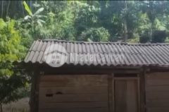 Bán 2000m2 đất vị trí đẹp tại mộc châu, nhà gỗ xinh, phù hợp nghỉ dưỡng chỉ 4xx triệu