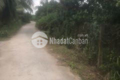 Bán đất tp mỹ tho tiền giang, dt 608,3m2 sẵn shr chỉ 1,550 tỷ tl. lh0866800990.