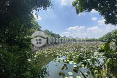Siêu phẩm nhà phố phương liệt, thanh xuân, dt 62m2, 5t, mt6m, ô tô tránh, view hồ
