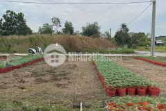 Bán đất cần đước long an 85m2 pháp lý đầy đủ chỉ 1.27 tỷ. lh0961327337