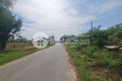 Đất ngợp đường nhựa cù chính lan xã tân bình thị xã lagi 100 triệum ngang