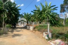 Cần bán lô đất vườn 780m2 hai mặt kiệt thôn hội phước.xã hoà phú.huyện hoà vang.đà nẵng