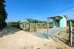 Bán nhà vườn diên đồng giá rẻ sát bên trục đường liên thôn