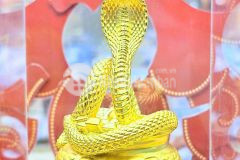 Nhà trệt khu nhà trệt khu văn hóa tây đô hưng thạnh cái răng cần thơ