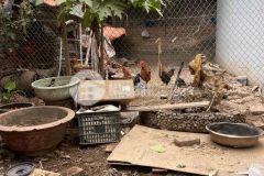 Bán đất cự khối 37m mặt tiền 3,7m giá 2,x tỷ