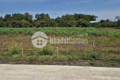 Bán đất ấp an quý gần chợ thanh an, huyện hớn quản, tỉnh bình phước