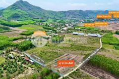 Bán đất vườn diên tân quy hoạch full thổ cư sát bên hương lộ 62