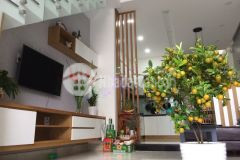 Thủ đứcbán nhà đẹp hxh 7m, ngô chí quốc 56m2,p.bình chiểu,2tầng 4.6tỷ.